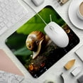 thumbnail image 2 of Snail Square Desk Mat, 8.3x9.8 Inch, Non-Slip Rubber Bottom, Printed, Suitable for Office and Gaming - Gaming Mousepad and Mouse Pad, 2 of 6
