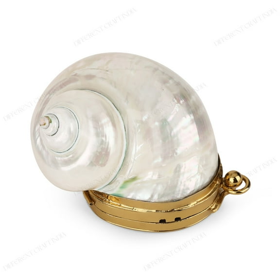 Different Craft India Mini Iridescent White Pearl Turbo Coin Seashell Purse
