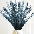 thumbnail image 1 of Eucalipto Seco Conservado 16-17 pulgadas Eucalipto Natural Azul Verde Eucalipto para Spa Ducha Decoración Hogar Boda, 1 of 6