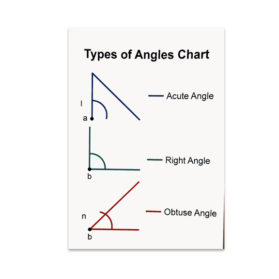 Types of Angles Educational Wall Art - Student Decor - 13x19 Poster Print