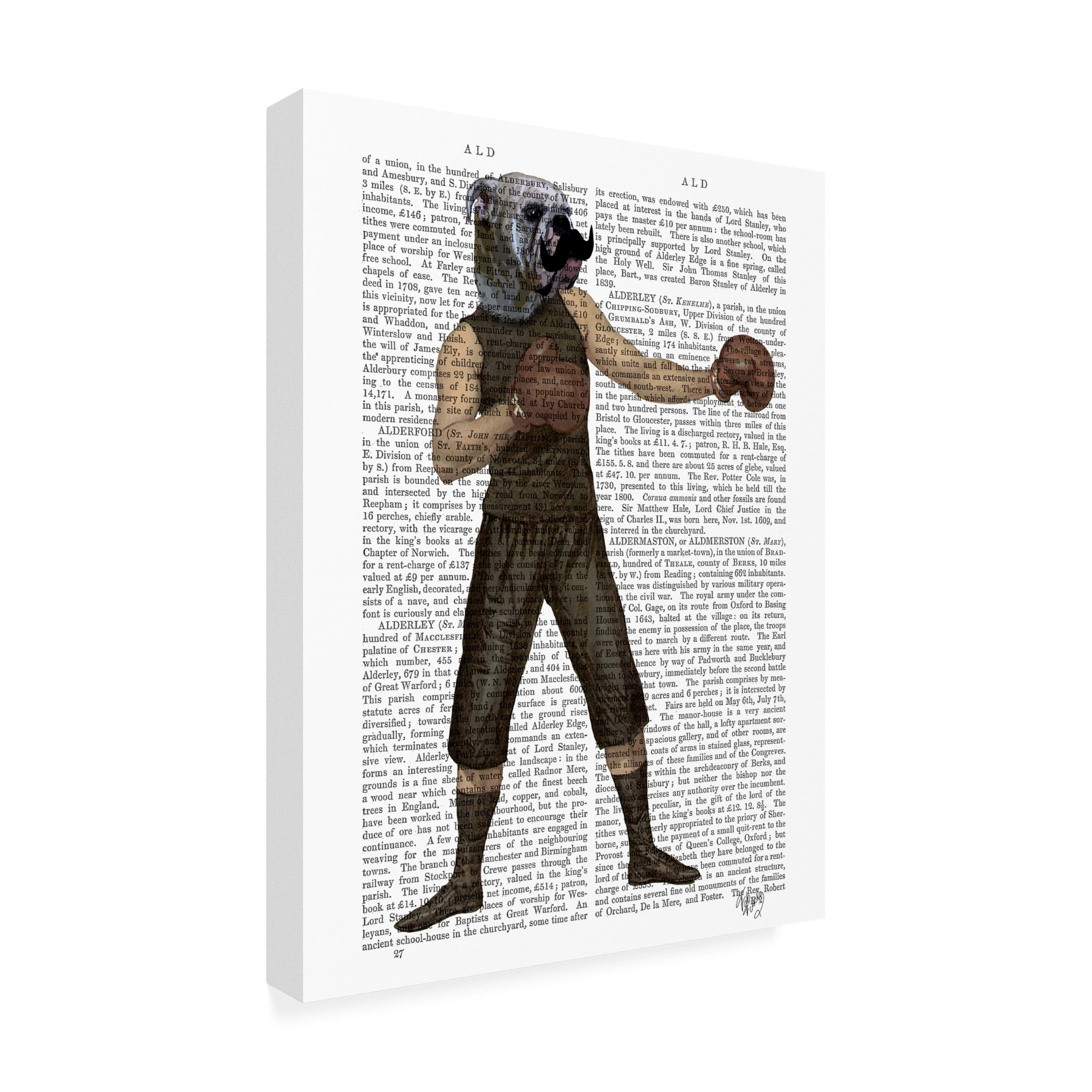 Trademark Fine Art 'Boxing Bulldog, Full' Canvas Art by Fab Funky