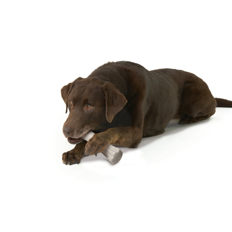 Petstages deerhorn dog chew toy sale
