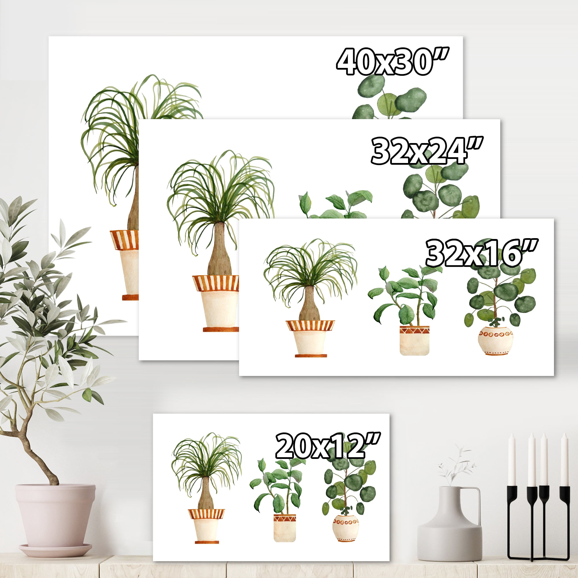 Designart ' Trio of House Plants Ficus Ponytail and Palm ' Traditional Canvas Wall Art Print