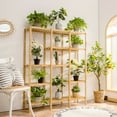 thumbnail image 2 of Costway Multifunctional Bamboo Shelf Storage Organizer Rack Plant Stand Display Closet, 2 of 10