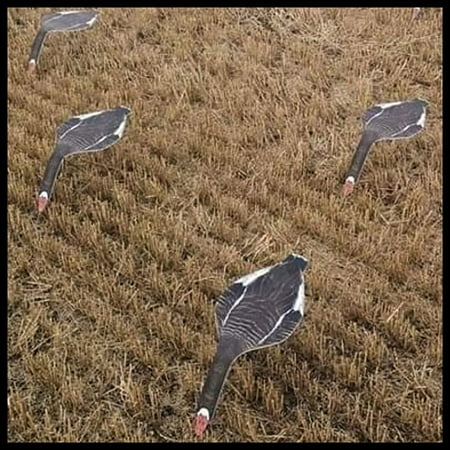 Reversible Snow Goose Decoy/Specklebelly Goose Decoy- SBS1-12 Pack