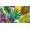 Green, variant on Aloha Hawaiian Style Outdoor Doormat, Low Profile Outside Front Door Mat, Non-Slip Thick Rubber Backing Tropical Floral Door Mat Indoor Entrance Beach Welcome Mat, 30x17 Inches