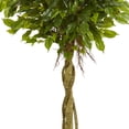 thumbnail image 3 of Nearly Natural 4 ft. Ficus Artificial Topiary Tree, UV Resistant (Indoor/Outdoor), 3 of 5