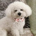 thumbnail image 3 of Collar para perro Limeloot Floral con sarga suave para perras, margaritas y flores., 3 of 5