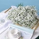 thumbnail image 2 of Lylyfan Babys Breath Flores Artificiales 30 Uds Gypsophila Flores De Tacto Real Para La Decoración Del Jardín Del Hogar De La Fiesta De Boda, 2 of 5
