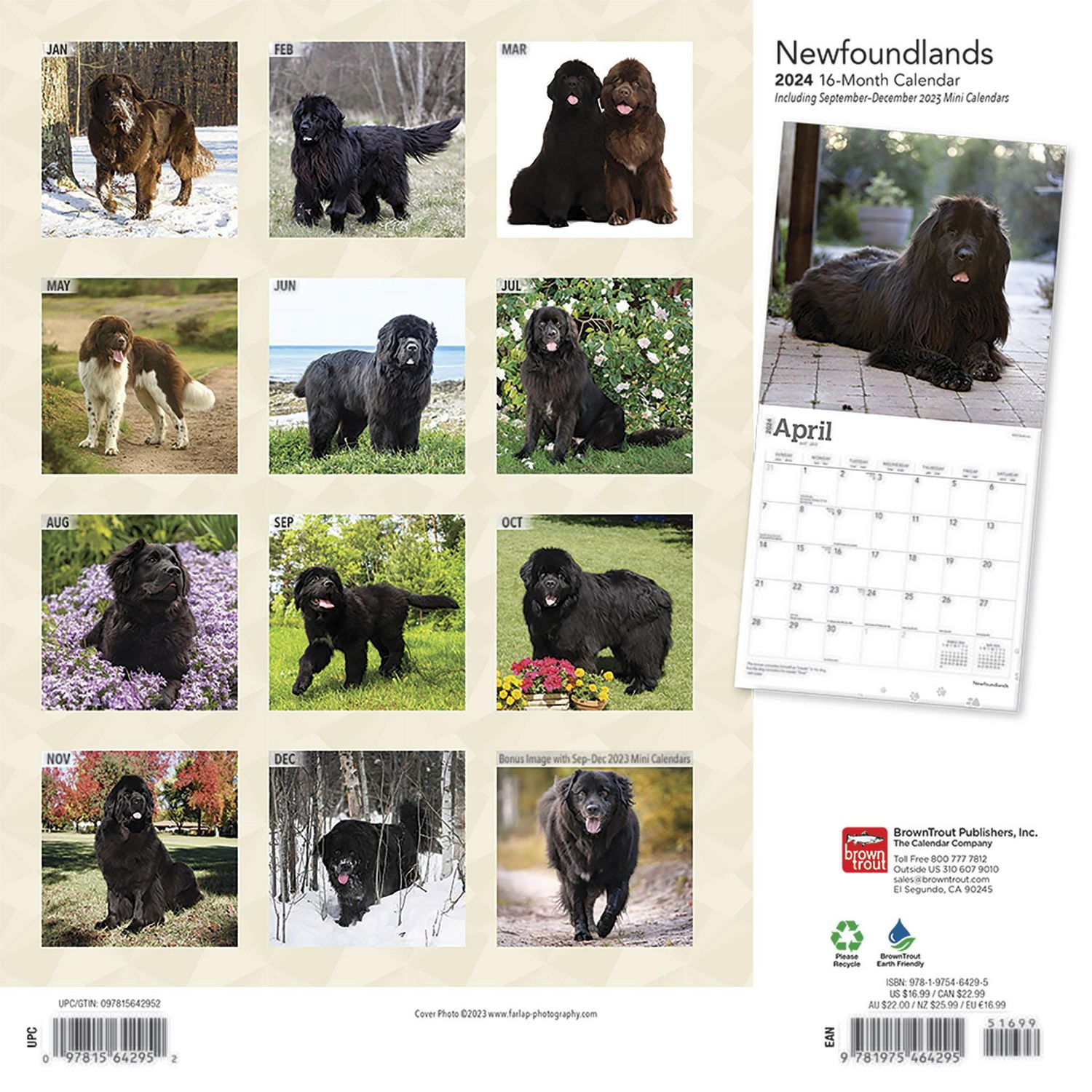 BrownTrout Terre-Neuve 2024 Mur Carré 30.48x60.96 CM, 9781975464295