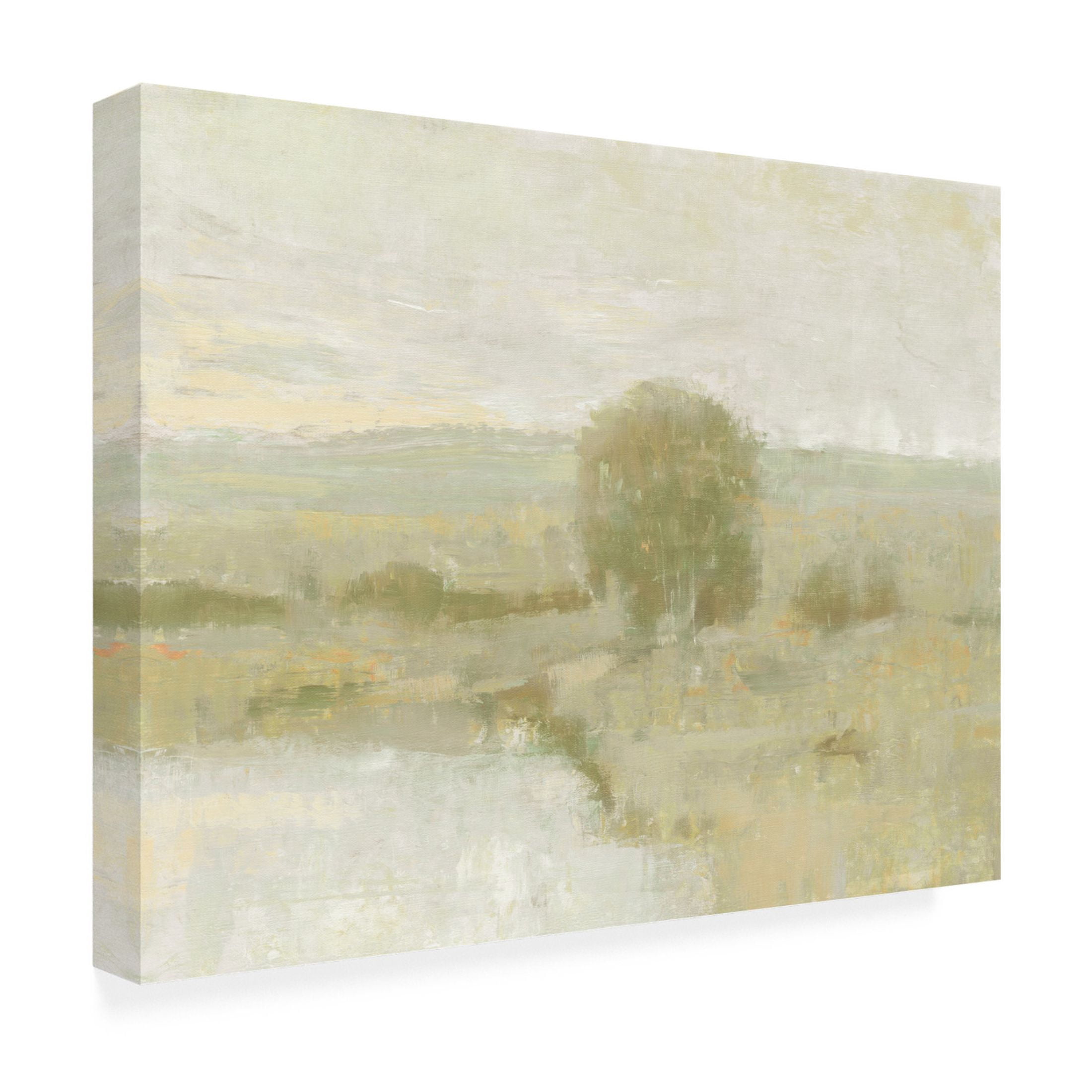 Trademark Fine Art Tim OToole  Ochre Riverbank II Canvas Wall Art