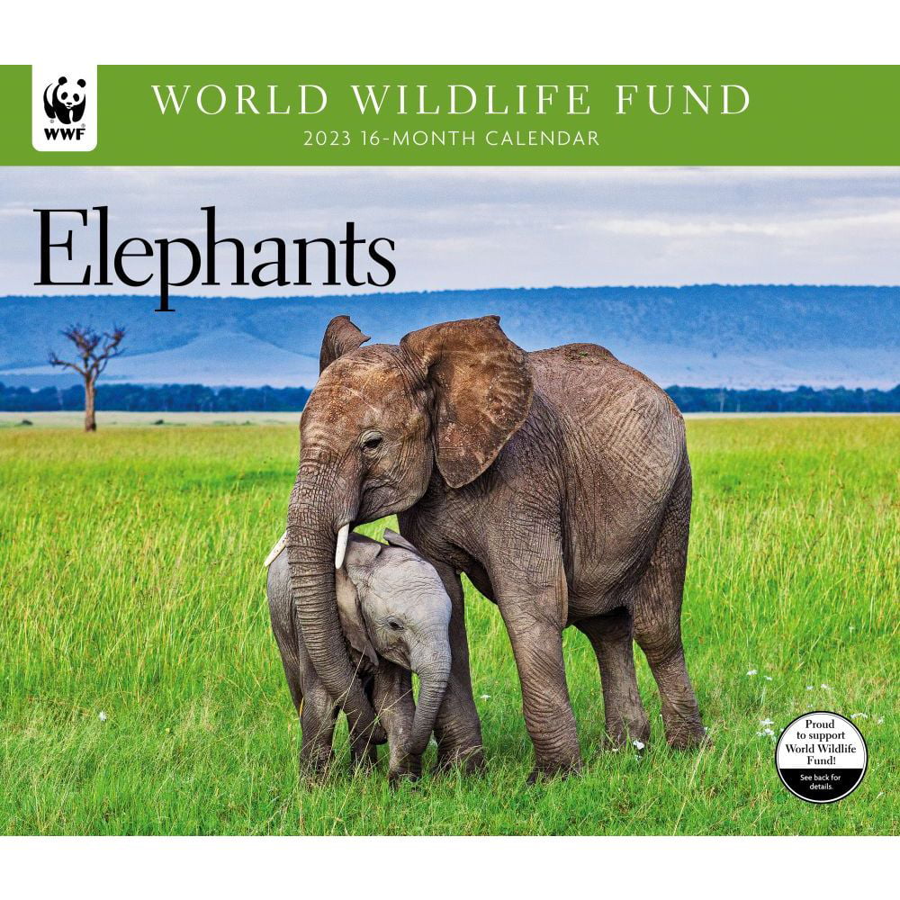 Elephants WWF 2023 Wall Calendar