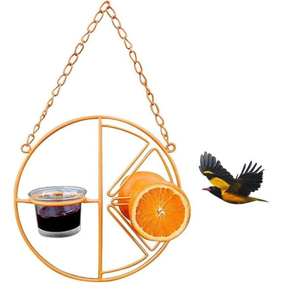 Oriole Wild Bird Feeder, Orange Clementine Design, Steel Bird Feeder with Landing Perches, 2 in 1 Bird Feeder, Orange Fruit Stick Feeder & Glass Nectar/Jelly Container