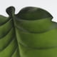 thumbnail image 4 of Hojas Tropical, Artesanía De Bricolaje Impermeable Hoja Artificial Posavasos Mantel Individual Para Decoración Del Partido segundo, 4 of 9