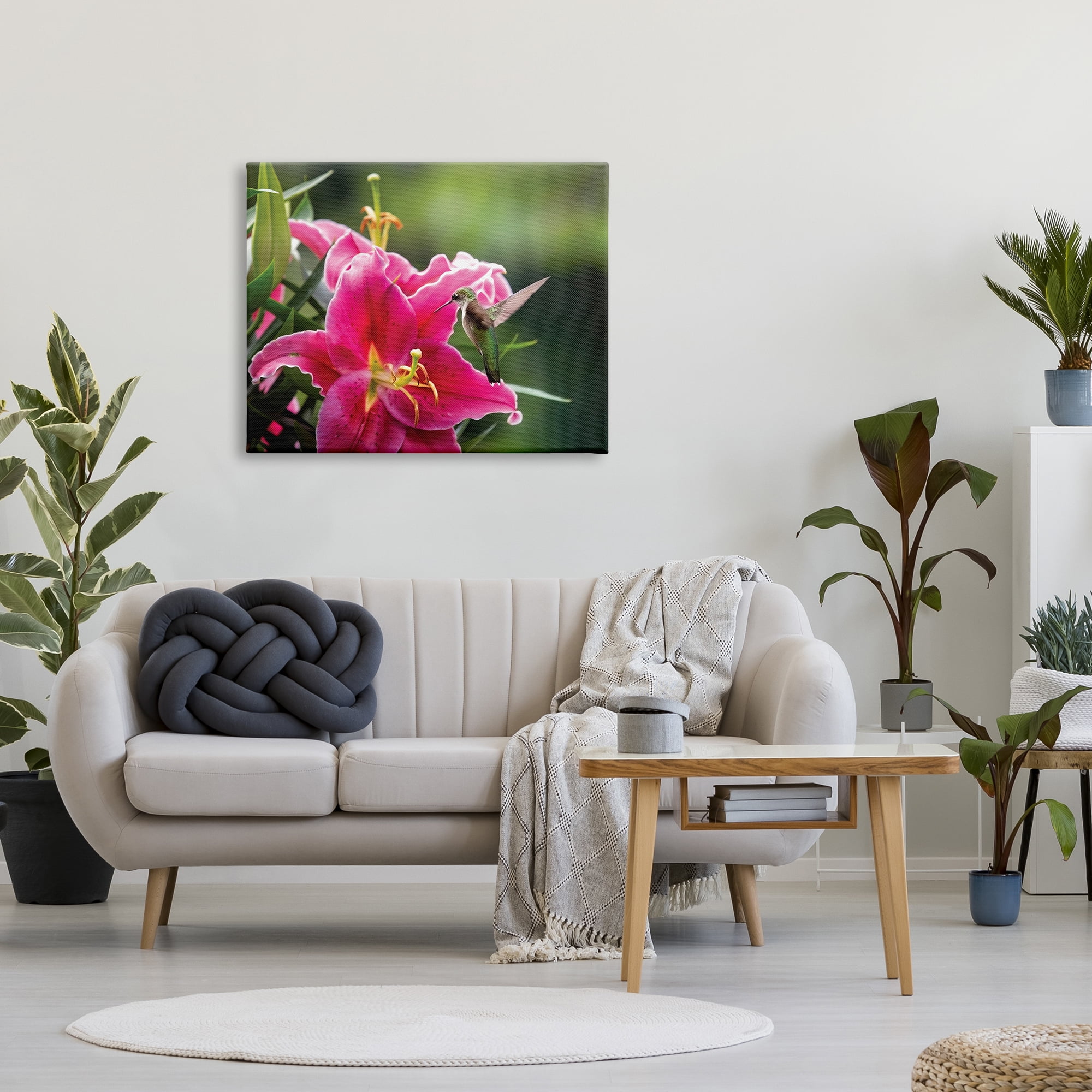 Stupell Industries Hummingbird with Hibiscus Animals & Insects Photography Gallery Wrapped Canvas Print Wall Art, 40 x 30