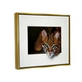 thumbnail image 5 of Stupell Industries Menacing Cheetah Glaring Jungle Cat Obscure Painting Painting Metallic Gold Floating Framed Canvas Print Wall Art, Design by Alan Weston, 5 of 5