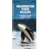 Pocket Naturalist Guides: Washington State Wildlife: A Folding Pocket Guide to Familiar Species (Paperback)