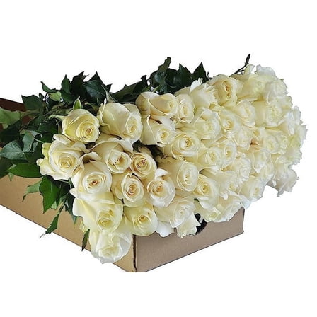 Kabloom Handpicked White Roses - 50 Count Bulk Flower Cut