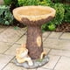 thumbnail image 4 of Baño De Pájaros Al Aire Libre, Comedero De Pájaros Decorativo Para Gatos, Bandeja De Bañera Estable, 4 of 8