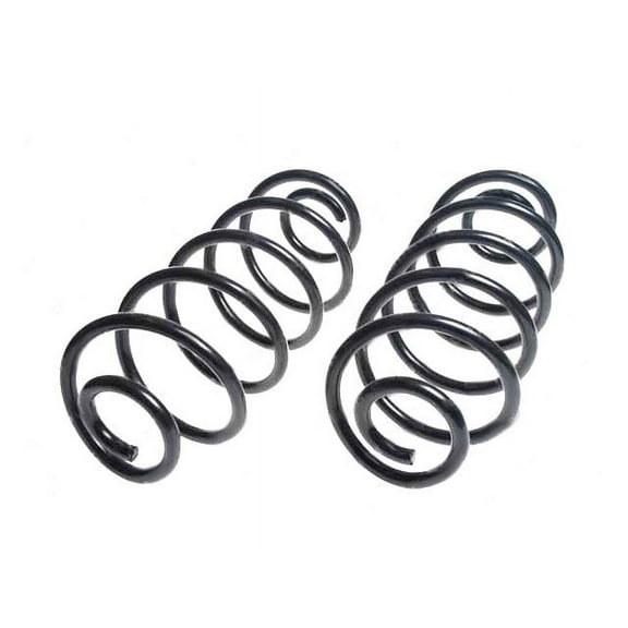 Rear Coil Spring Set - Compatible with 1977 - 1979, 1984 - 1989, 1991 - 1992, 1994 - 1996 Chevy Caprice Classic 1978 1985 1986 1987 1988 1995