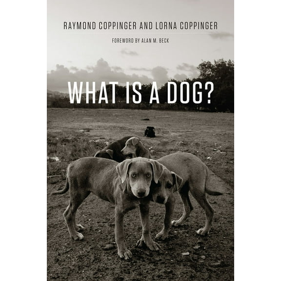 What Is a Dog?, (Paperback)