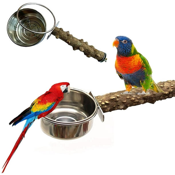 Jouets pour oiseaux en bois, perchoirs en bois perroquet