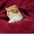 thumbnail image 4 of Cozy Comfort Red Fleece Blanket Throw Blanket - 300Gsm Soft Cozy Blankets And Throws for Toddlers,Kids, 4 of 7