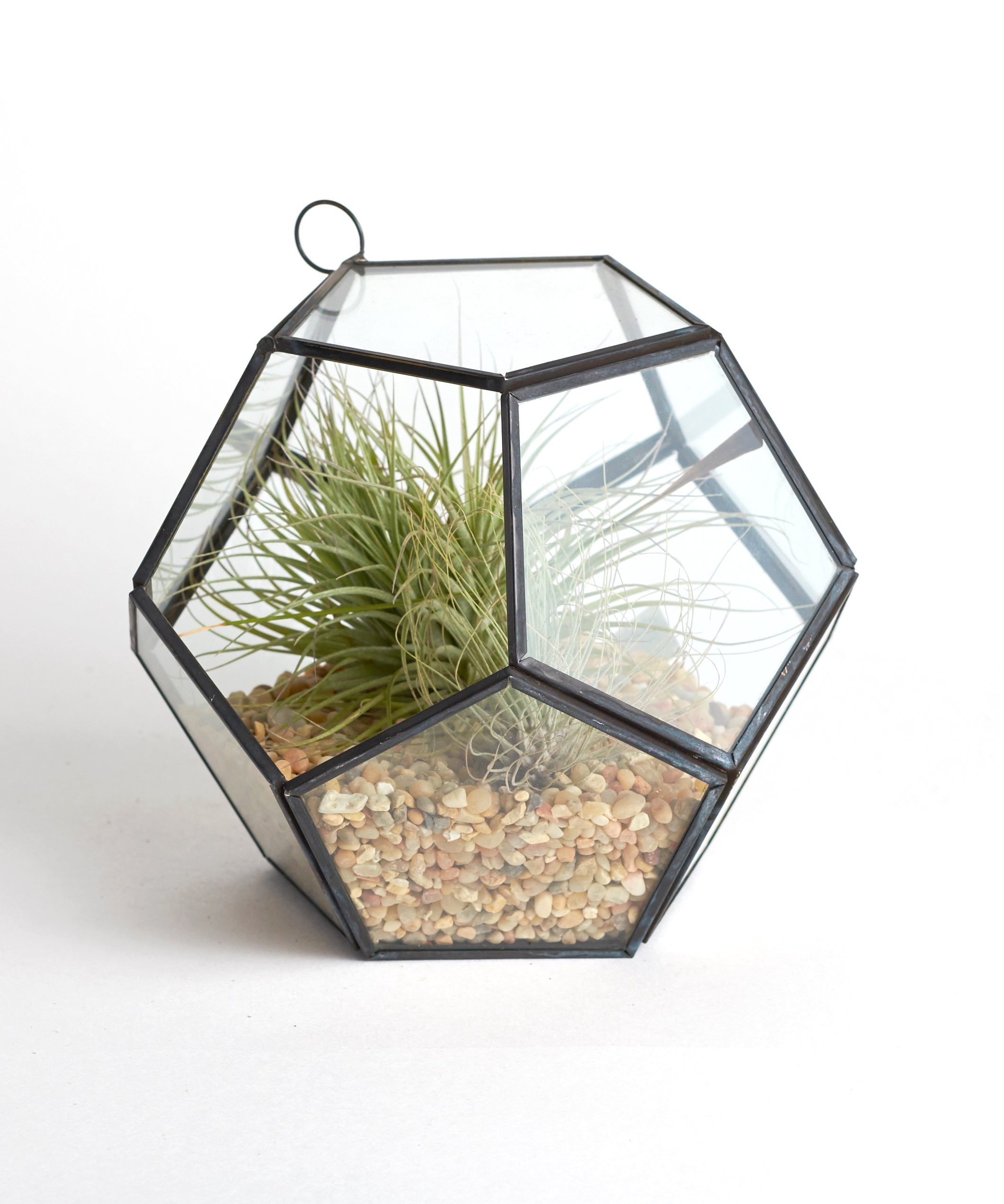 Home Botanicals Geometric Orb Terrarium with Air Plants