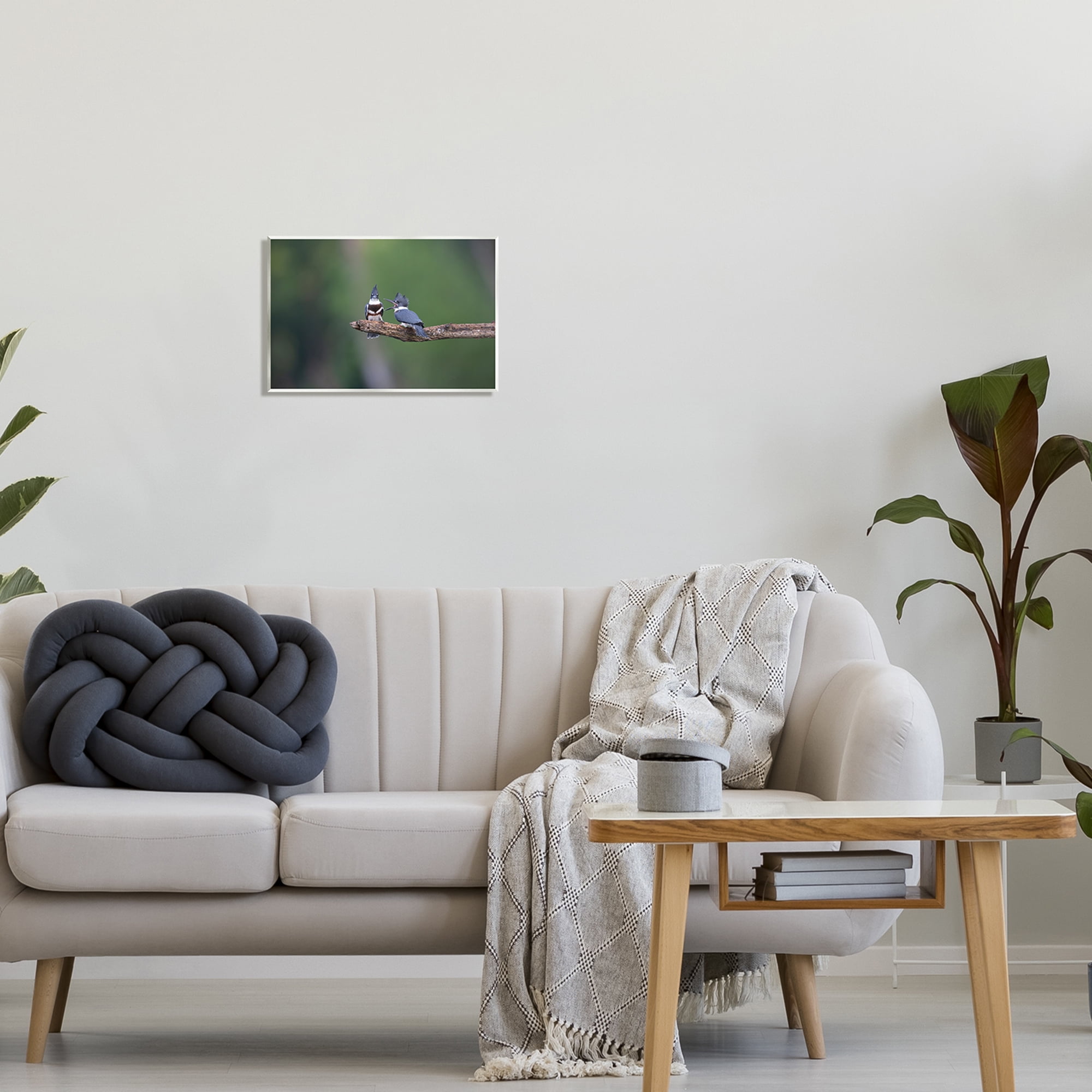 Stupell Industries Blue Jays on Branch Animals & Insects Photography Unframed Art Print Wall Art, 15 x 10