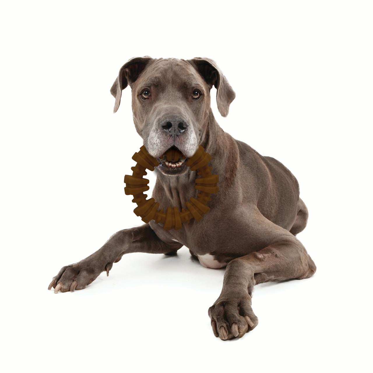 Nylabone Dura Chew Textured Dog Chew X-Large Nylabone Dura Chew Textured Dog Chew X-Large