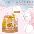 thumbnail image 4 of 2 Set Glass Display Dome with Cork Base 3.1x2.8 inch Tabletop Centerpiece Cloche Bell Jar for Flower Plants Specimens Crafts Decorations Inner Diameter: 76mm, 4 of 6