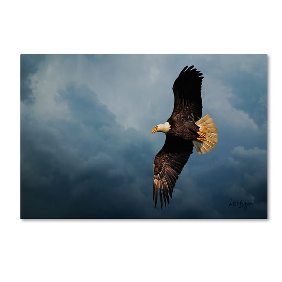 Trademark Fine Art "Eagle in the Sky" Canvas Art by Lois Bryan