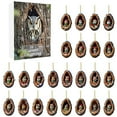 thumbnail image 2 of kladzum Advent Calendar 2025 Christmas Countdown Calendar, Cute Animals Acrylic Decoration Holiday Gifts Box Advent Calendars Christmas Decorations, 2 of 8