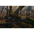 thumbnail image 2 of Goebel, Wilhelm 18x13 White Modern Wood Framed Museum Art Print Titled - Thunder In The Woods, 2 of 4