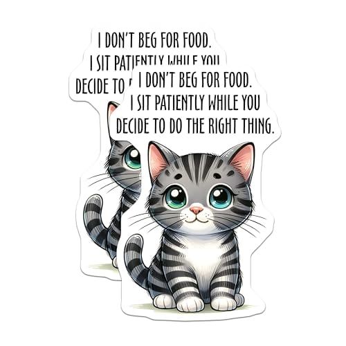 (2 Pack) Cute Cat Quote Magnets - Funny Cat Magnet - Adorable Fridge Magnet Cat Lover Decor - 5" On Longest Side - for Cars, Refrigerators, Toolboxes, Lockers - Made in USA BMCS3128