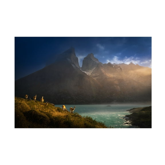 Trademark Fine Art ByKammille Li Immersing in the golden lights Canvas Wall Art