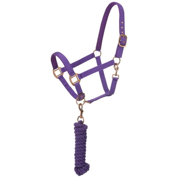 Tough-1 Neoprene Padded Halter With Antique Hardware Lead Set - Purple