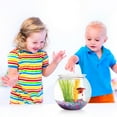 thumbnail image 3 of WEUVEB Bol à Poisson Rond Transparent pour Bureau 1Pcs, 3 of 8
