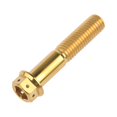 thumbnail image 5 of Wanyifa Titanium Flange Hex Head Bolt M10 20 25 30 35 40 45 50 55 60 65 70 75 80 85 90mm Screws,M10x90mm Pitch 1.25mm,Gold,4 Pcs, 5 of 6