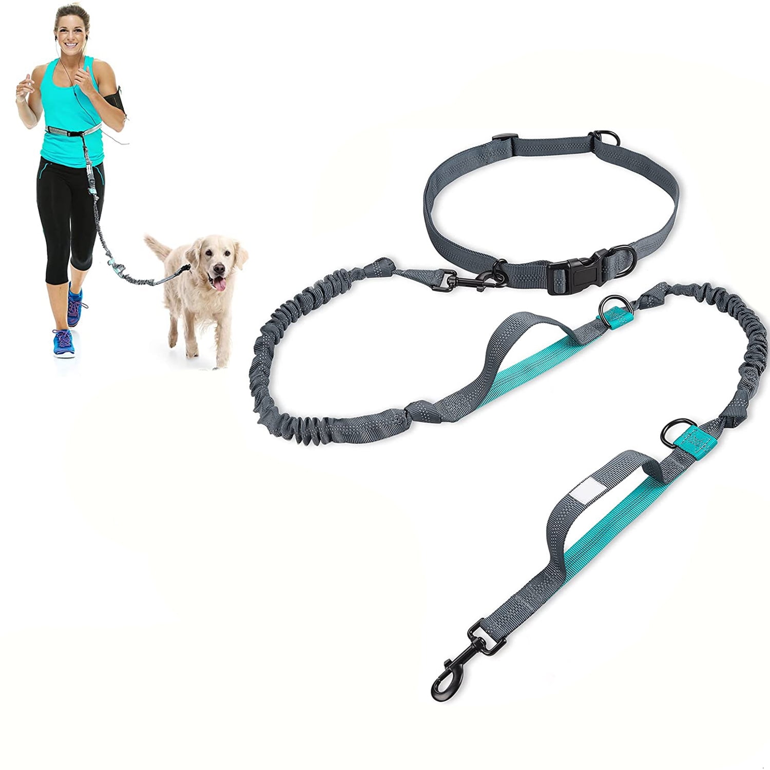 dog hiking lead