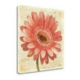 thumbnail image 1 of "Blushing Gerbera On Cream" By Albena Hristova, Giclee on Gallery Wrap Canvas, 1 of 3
