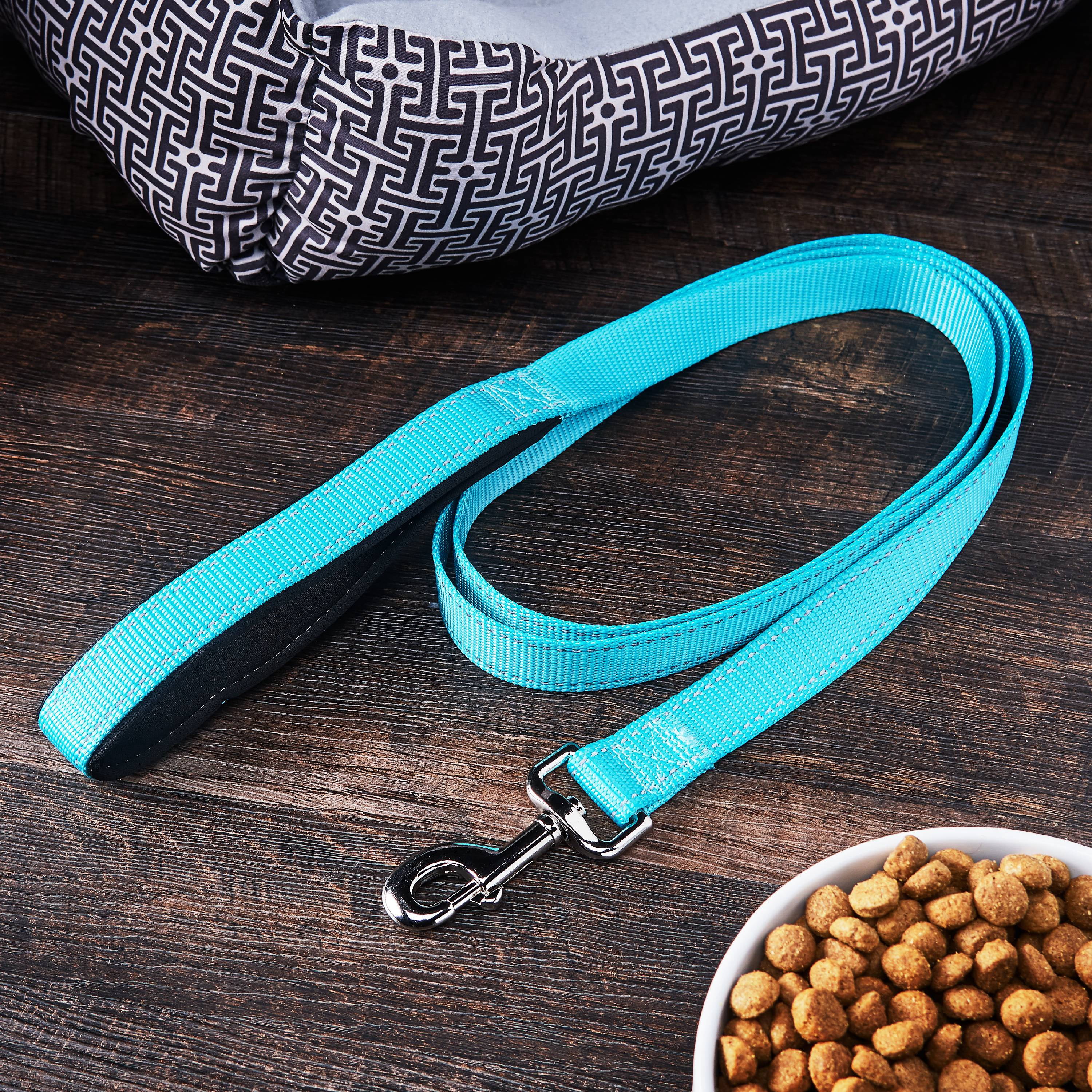 Vibrant Life Reflective Comfort Dog Leash, Teal, 6-ft, 1-in