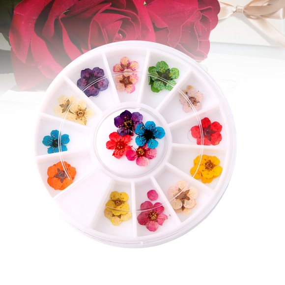 YSNOOWE Nail Decoration Art Creation Nail Art Supplies Plastic 1 Set
