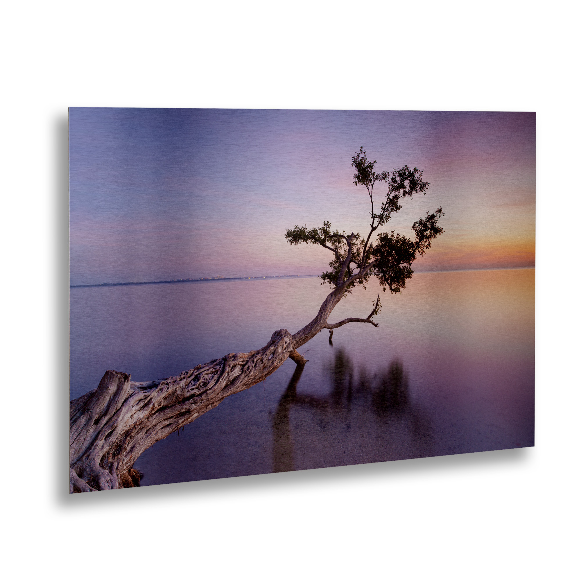 Moises Levy 'Water Tree Xv' Floating Brushed Aluminum Art