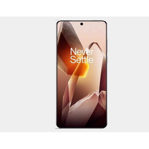 OnePlus 13 5G PJZ110 Dual SIM 256GB 12GB RAM GSM Unlocked - Arctic Dawn