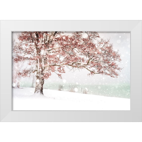 Eisenmann, Ulrike 24x17 White Modern Wood Framed Museum Art Print Titled - Snow at the lake