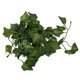 thumbnail image 2 of 2X Hoja de Batata 2M 6.6 Pies Artificial Decoracion de Jardin, 2 of 5