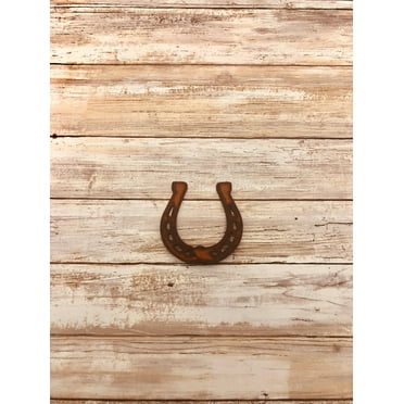 Horseshoe Magnet