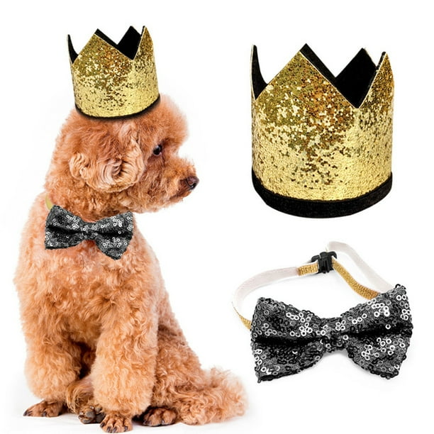 Dog top crown hat