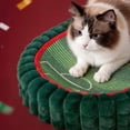 thumbnail image 2 of PAWZ Road Cat Scratching Pads Portugal Team Football Stadium Cat Scratcher, 2 of 6